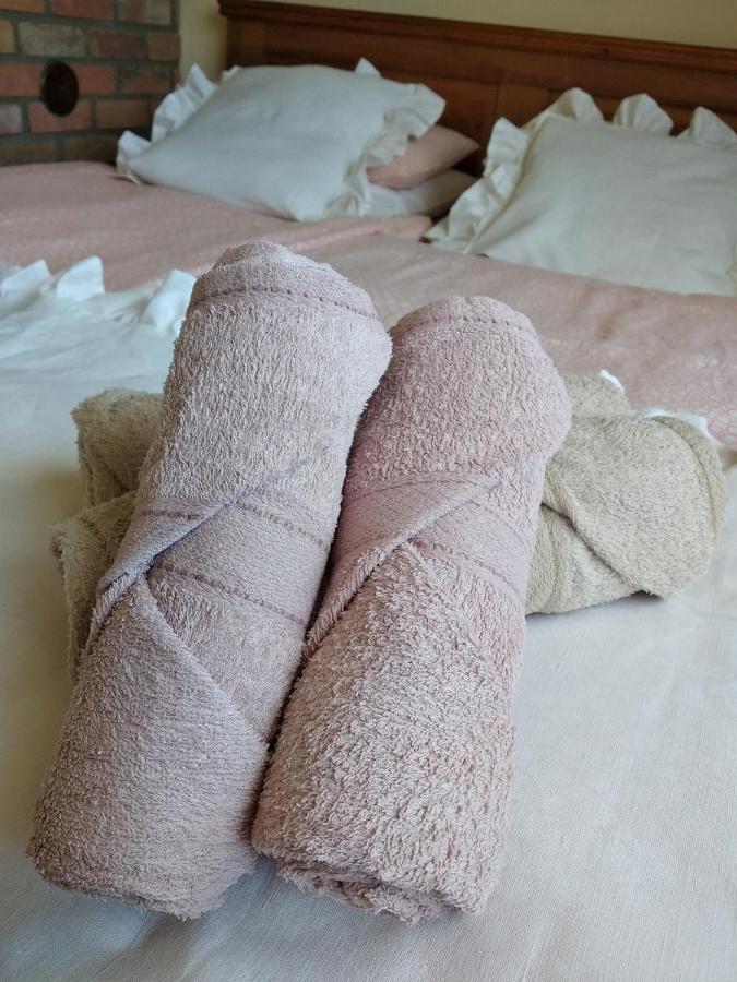 U Anny Smejdirky Apartment Nymburk Bagian luar foto